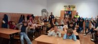 siguranta_rutiera09